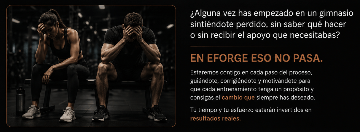 EFORGE 22png